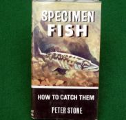 Stone, P - Specimen Fish