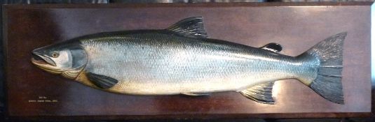 CARVED FISH: Fine carved wood Fochaber school half block salmon, 45