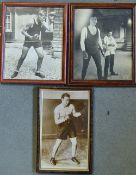Boxing Heavyweight Photograph Selection Phil Scott, Jess Willard and Jack Sharkey depicts boxing