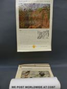 Twenty four Shell Natural Studies educational posters