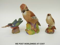 Royal Worcester Jay model 3248 and two other Royal Worcester birds