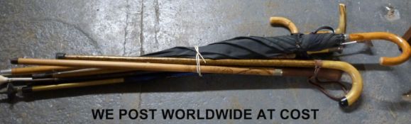 A collection of sticks and umbrellas including silver knopped and collared example,