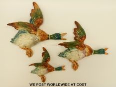 Beswick set of three mallard wall plaques 596/0 596/1 and 596/3
