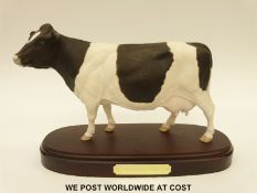 Royal Doulton Friesian cow with matt finish on wooden plinth