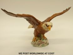 Beswick bald eagle,