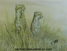 David Parry signed limited edition print 'Pair of Cheetah' 252/850 (53x64cm) together with a