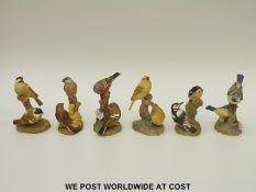 Six Royal Worcester bird figures,