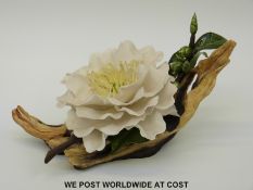 Boehm porcelain study 'Swan Lake Camellia' (14cm tall)