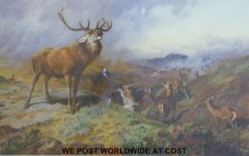 Archibald Tharburn four limited edition wildlife prints in gilt frame (largest 39x61cm)