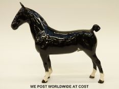 Beswick Hackney CH Black Magic of Nork