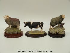 Three Border Fine Arts models 'Herdwick Tup', 'Ewe and Lamb' by Ayres and 'Dairy Bull',