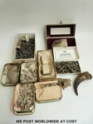 A collection of fossils, shells, shark's teeth, etc.