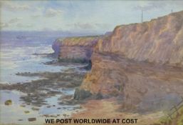 Harriet Skidmore watercolour white sands cliff,