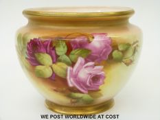 Royal Worcester pedestal jardiniere hand decorated with roses and signed F.
