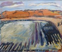Robert Hobhouse 'Swans at Greinton' oil on canvas,