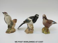 Beswick woodpecker,