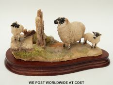 Border Fine Arts limited edition 'Wrong Side of the Fence' sheep group by Anne Wall,
