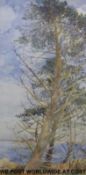 Nan Heath watercolour possibly Scilly Isles of a tree with seascape and islands beyond,