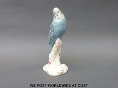 A Royal Worcester budgie