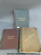 Three albums entitled Newspaper Cuttings and Newspaper Gleanings, Victorian onwards,