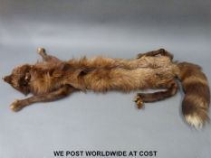 A vintage fox stole,