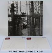 Rare Paul McCartney LP: 