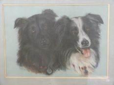Pauline Edward pastel of two Border Collie dogs,