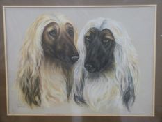 Pauline Edward pastel of two Afghan Hound dogs,