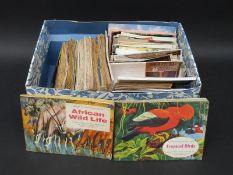 A box containing a quantity of postcards to include Museum of Childhood,