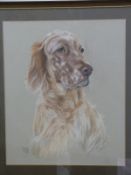 Pauline Edward pastel portrait of an English Setter dog,