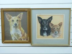 Pauline Edwards pastel portrait of two Corgi dogs (32 x 36cm) together with a further portrait of a
