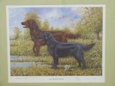 Mick Clark signed limited edition print 53/800 