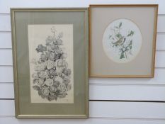 Norman Piper pencil still life of flowers 45x25cm and a watercolour of a Whitethroat in foliage