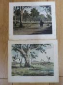 T.R. Amies two hand coloured etchings, one 'Old Gum Tree', the other 'Out West N S.