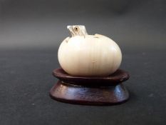 A Japanese carved ivory netsuke of a chick emerging from an egg on a wooden plinth,
