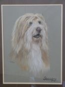 Pauline Edward pastel 'Snoopy' portrait of a Bearded Collie dog,