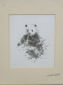 David Shepherd signed print of a panda 14x12cm