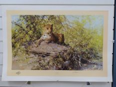 David Shepherd signed limited edition print 130/1500 