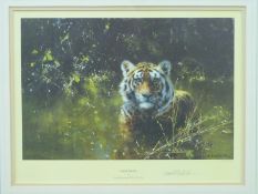 David Shepherd signed limited edition print 935/1500 