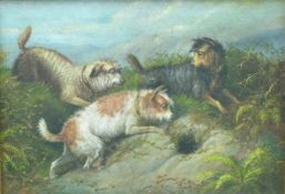A 19thC oil on canvas terriers rabbitting,