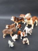 A collection of ceramic bulldogs including two Beswick Ch.
