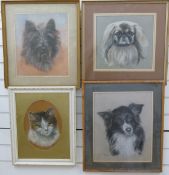 Pauline Edwards four pastels of dogs/cats (largest 40 x 33cm) to include Border Collie, Pekingese,