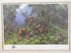 David Shepherd signed limited edition print 273/950 