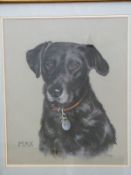 Pauline Edward pastel 'Max' portrait of a black Labrador dog,