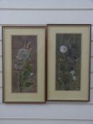 Margaret Hawkes two gouache on paper 'Thistle and Peacock Butterfly' and 'Jack Go to Bed at Noon'