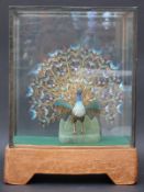 An enamelled and jewelled gilt metal peacock on hardstone base, in a glass case,