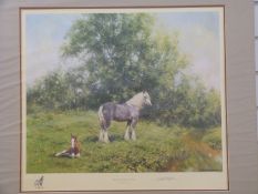 David Shepherd signed limited edition print 102/950 