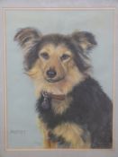 Pauline Edward pastel 'Muffett' portrait of a black and tan dog,