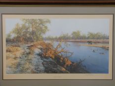 David Shepherd signed limited edition print 476/850 