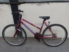 Universal Santamonica bicycle